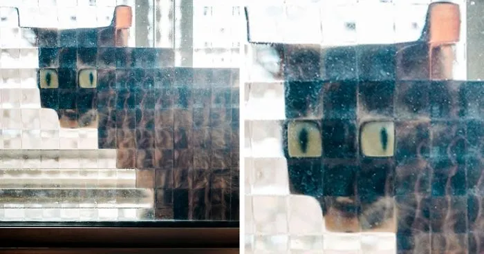 25 Times People Spotted Pixel Cats In Real Life And Just Had To Share
