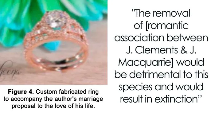 Guy Writes A Paper On A Stomach Butterflies To Propose To His Girlfriend, And It's Probably The Geekiest Proposal Ever