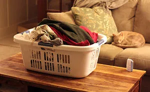 20 Small Ways In Which You Can Help The Environment That Are Too Easy Not To Try