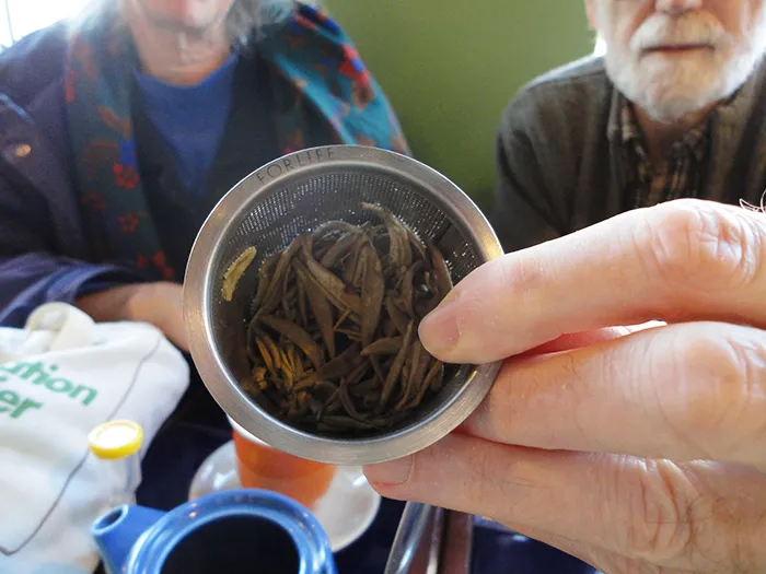 Buy loose leaf tea