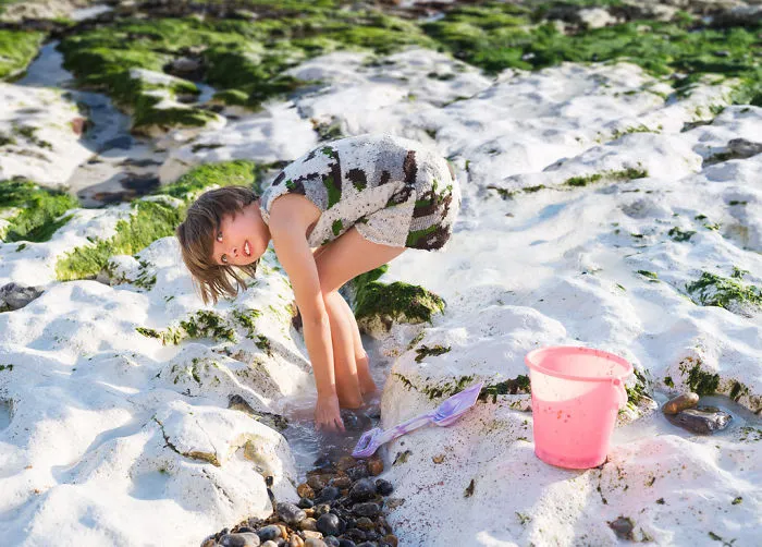 Rock Pools