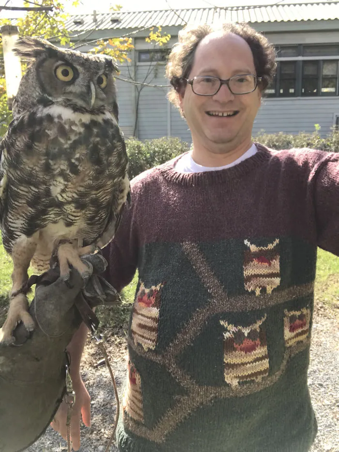 Owls