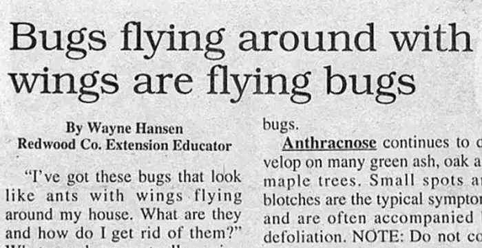 40 Of The Worst Newspaper Headlines To Make You Facepalm At The Stupidity