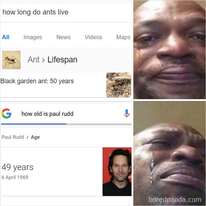 28 Wholesome And Funny Memes About Paul Rudd