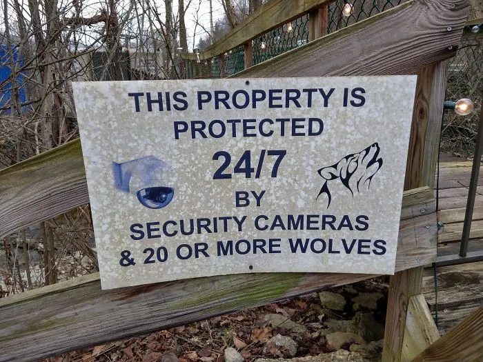 At A Nearby Wolf Sanctuary
