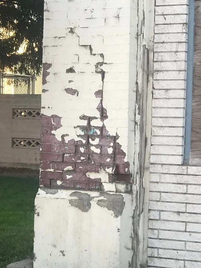 Pintura pelada que parece una cabeza de león
