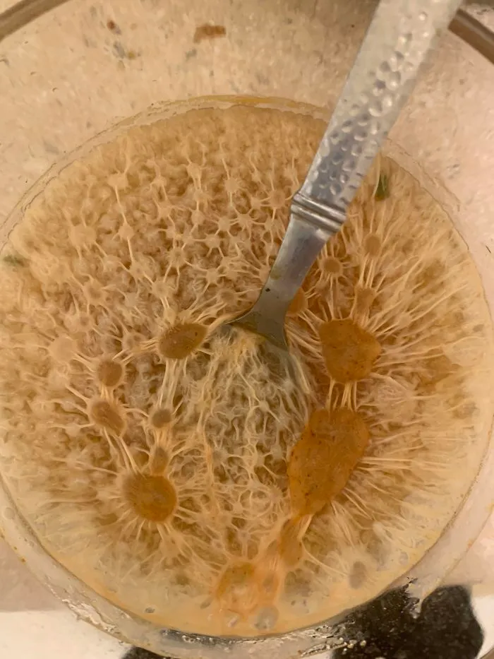I’m Not Doing My Dishes Until I Know What This Beautiful Thing Is