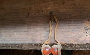 40 Times People Had No Idea What They Were Looking At, But The Internet Knew What It Was Right Away
