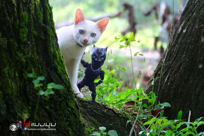 Artist Puts Baby Spiderman And Cats In The Funniest Scenarios (30 Pics)