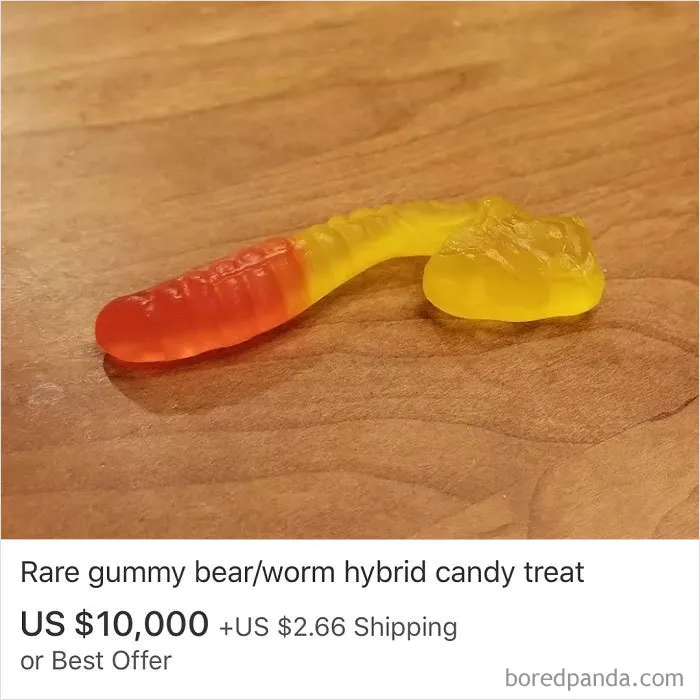30 Eyebrow-Raising eBay Listings Collected By This Instagram Account