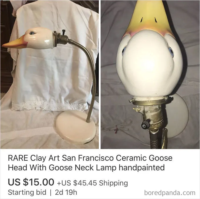 30 Eyebrow-Raising eBay Listings Collected By This Instagram Account