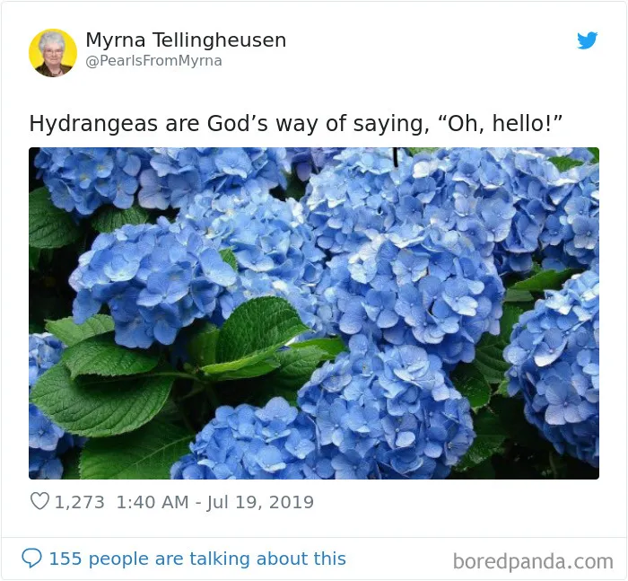 30 Times The Funniest Internet ‘Grandma’ Killed It With Her Tweets (New Pics)