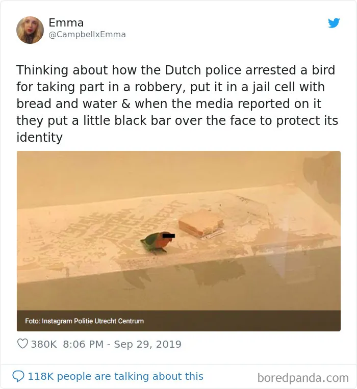 Tweets Shared By 40 Women That Made Others Crack Up
