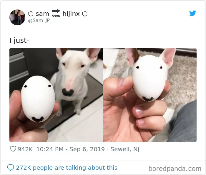 Tweets Shared By 40 Women That Made Others Crack Up
