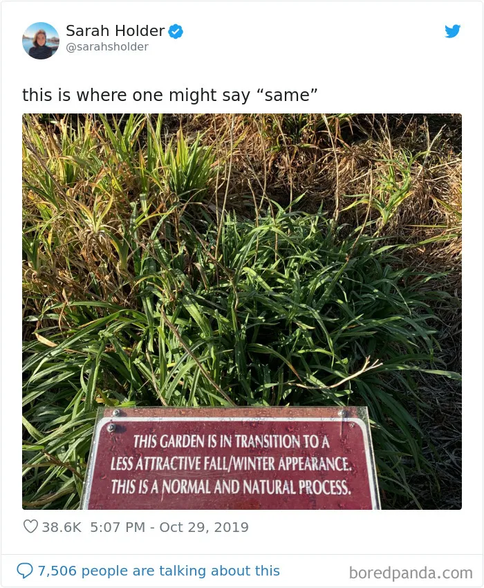 Tweets Shared By 40 Women That Made Others Crack Up