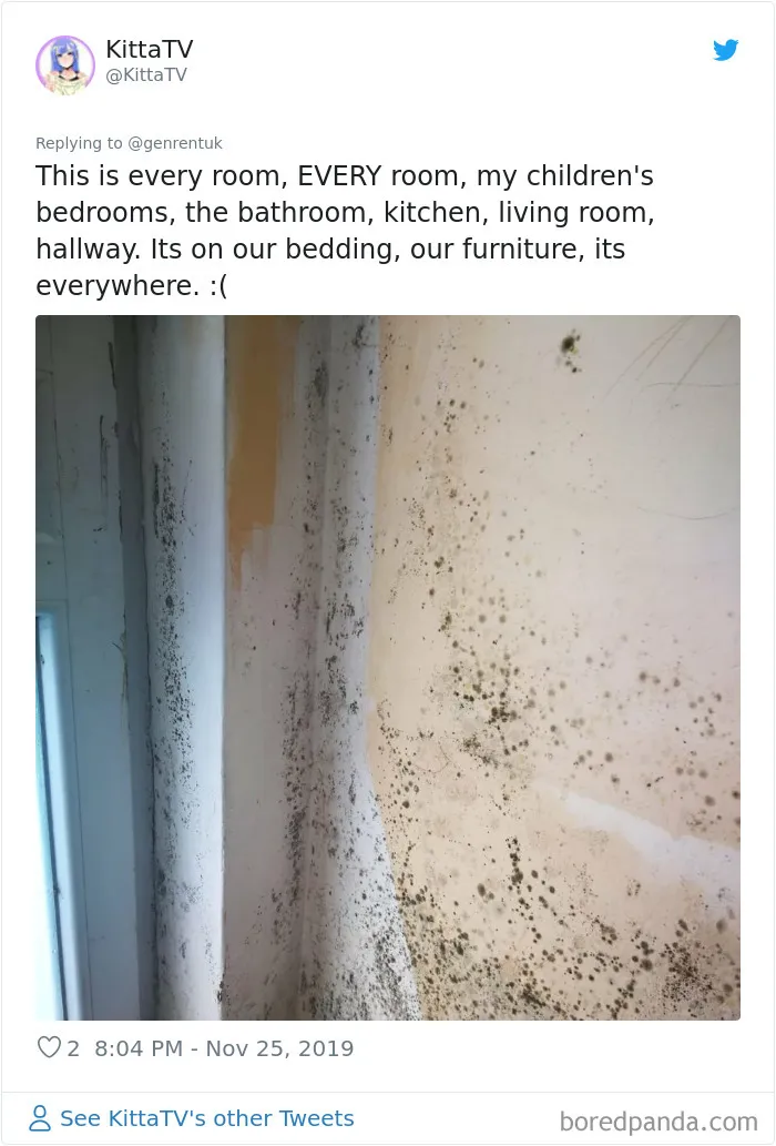 30 Unapologetic 'Vent Your Rent' Tweets That Expose Some Of The Worst Landlords