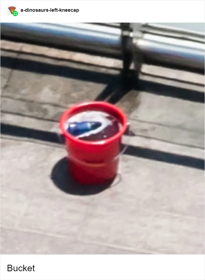 Bucket