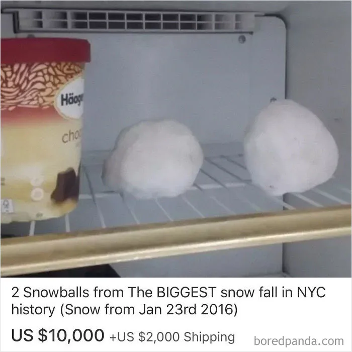 30 Eyebrow-Raising eBay Listings Collected By This Instagram Account