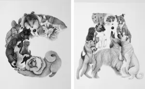 I Illustrated A Book Of An Alphabet Of Dogs
