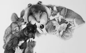 An Alphabet Of Dogs - My Illustrated Book
