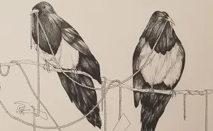 I Draw Pictures That Explore My Anxiety About Life And Death