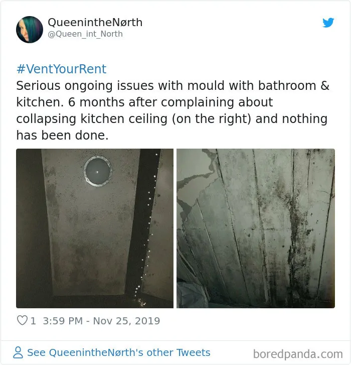 30 Unapologetic 'Vent Your Rent' Tweets That Expose Some Of The Worst Landlords