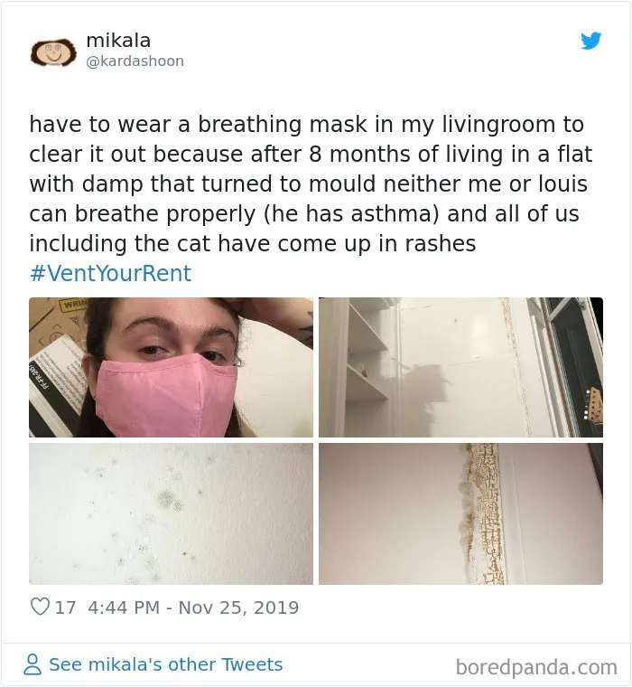 30 Unapologetic 'Vent Your Rent' Tweets That Expose Some Of The Worst Landlords