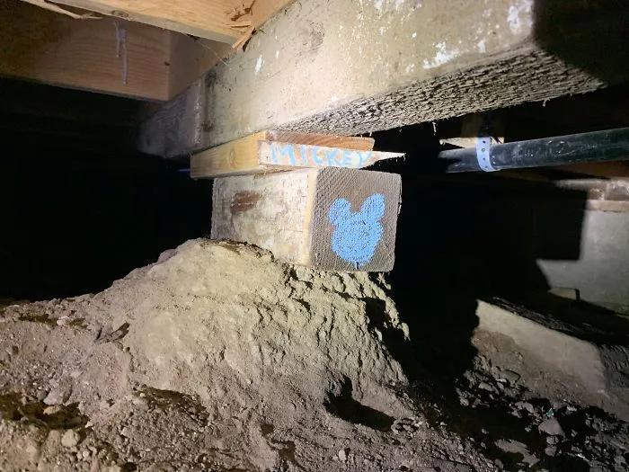 30 Worst Things Seen During Structural Inspections (New Pics)