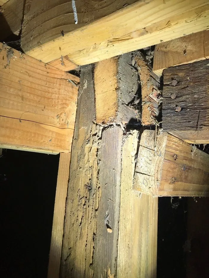 30 Worst Things Seen During Structural Inspections (New Pics)