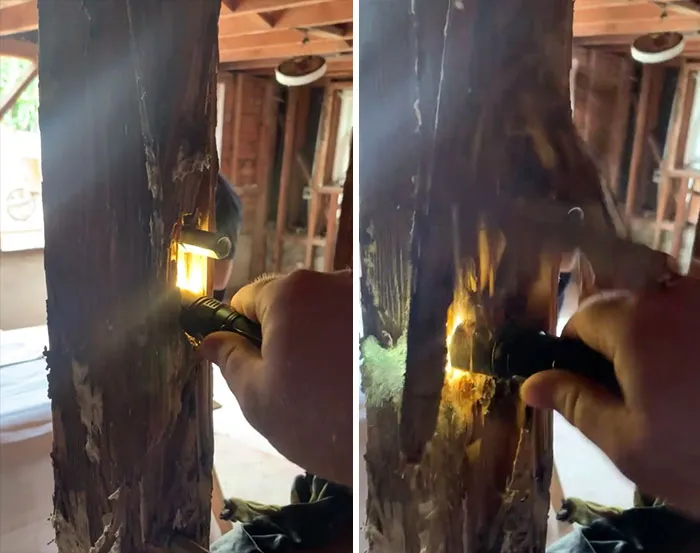 30 Worst Things Seen During Structural Inspections (New Pics)