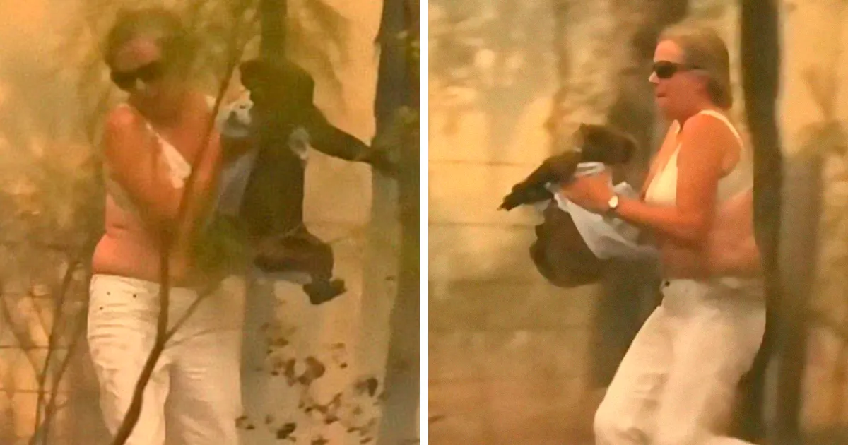 Esta mujer salvó a un koala que se abrasaba y gritaba quitándose su propia camisa