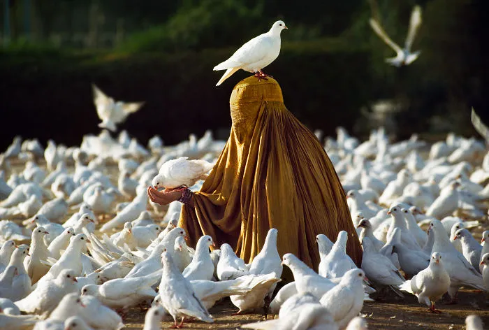 30 Photographs That Explore The Relationship Between Animals And Humans By Steve McCurry