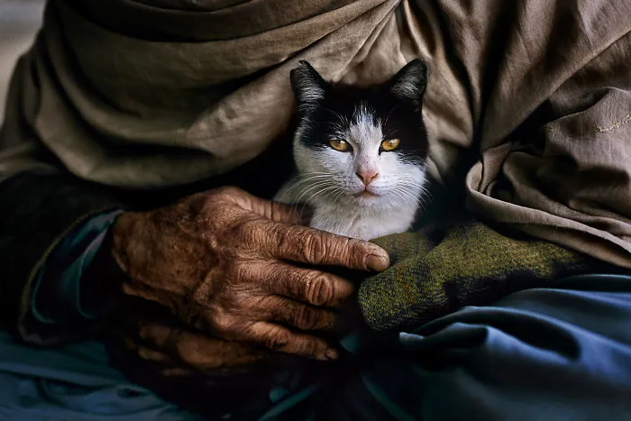 30 Photographs That Explore The Relationship Between Animals And Humans By Steve McCurry