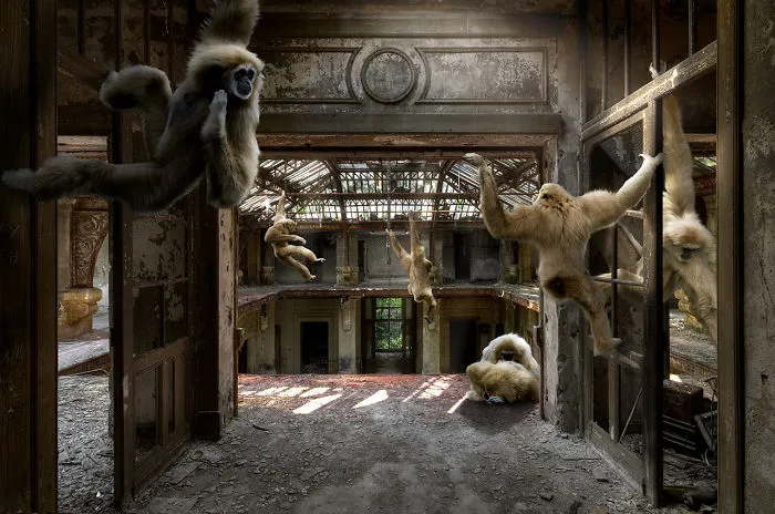 Monkey Business