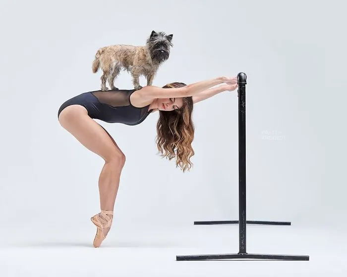 Ballet Dancers And Dogs Pose Together For A Photoshoot And The Result Will Make Your Day (40 Pics)