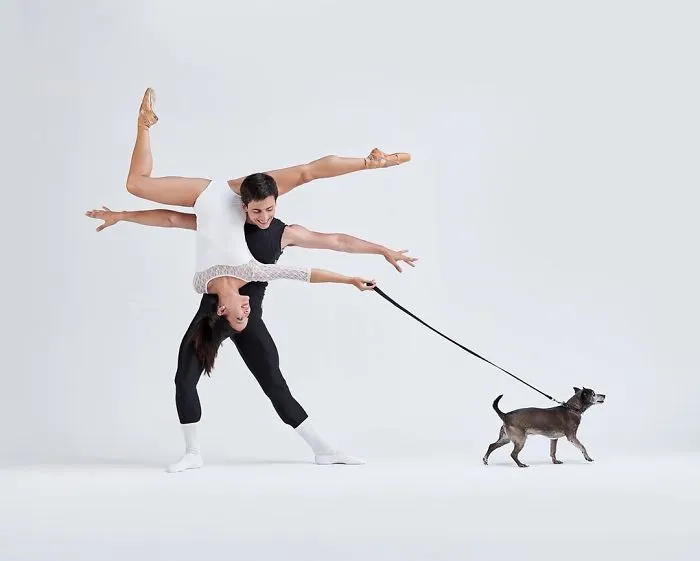 Ballet Dancers And Dogs Pose Together For A Photoshoot And The Result Will Make Your Day (40 Pics)
