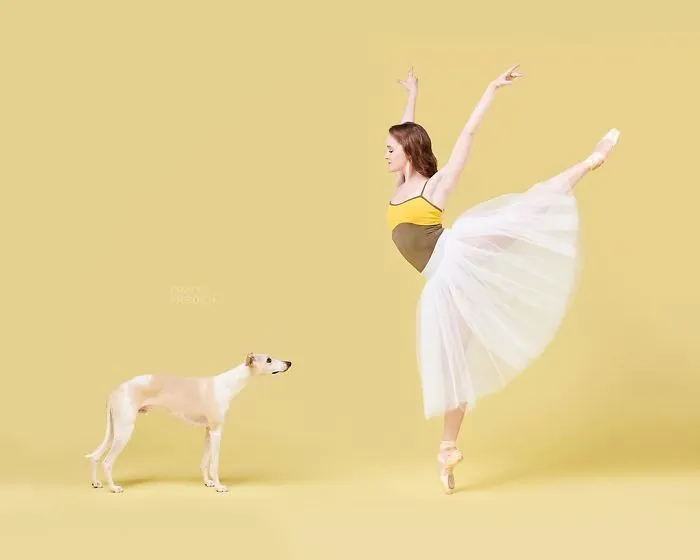 Ballet Dancers And Dogs Pose Together For A Photoshoot And The Result Will Make Your Day (40 Pics)