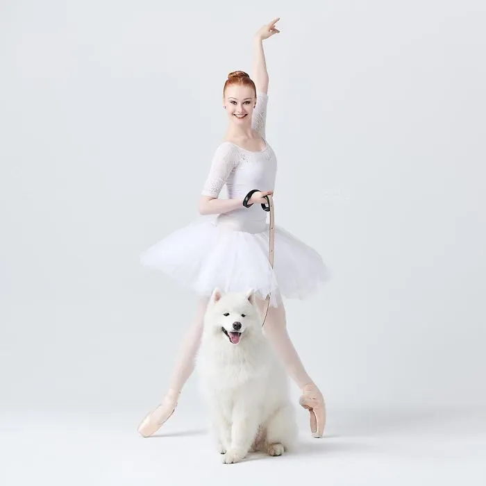 Ballet Dancers And Dogs Pose Together For A Photoshoot And The Result Will Make Your Day (40 Pics)