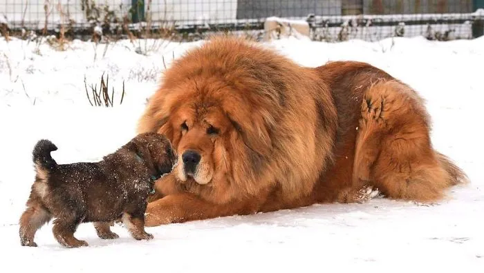 Padre e hijo