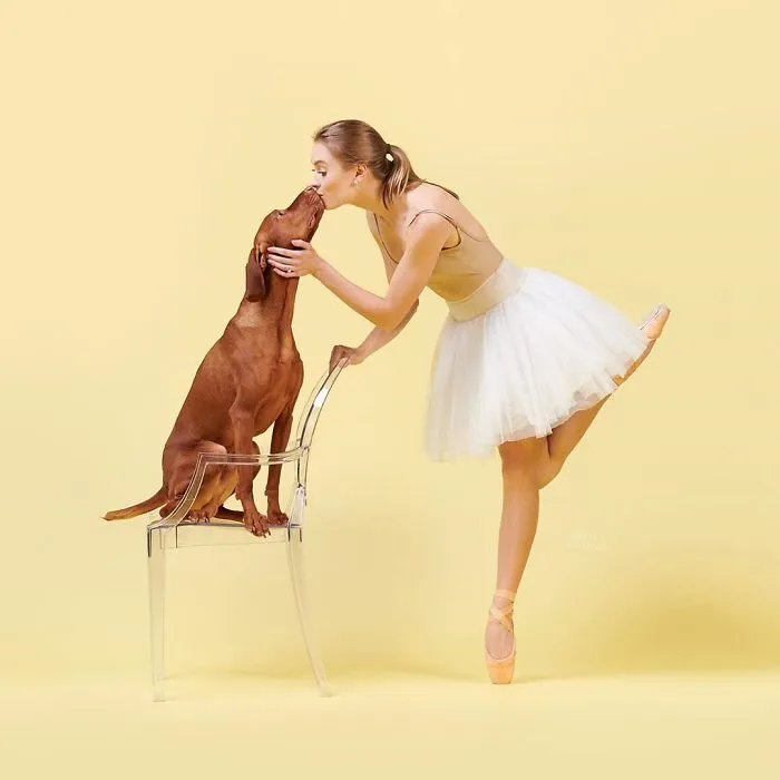 Ballet Dancers And Dogs Pose Together For A Photoshoot And The Result Will Make Your Day (40 Pics)