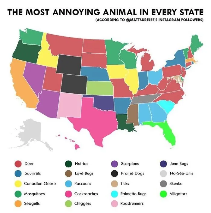 Guy Makes Honest And Funny Charts That Sum Up Our Lives And Here Are 30 Of The Best