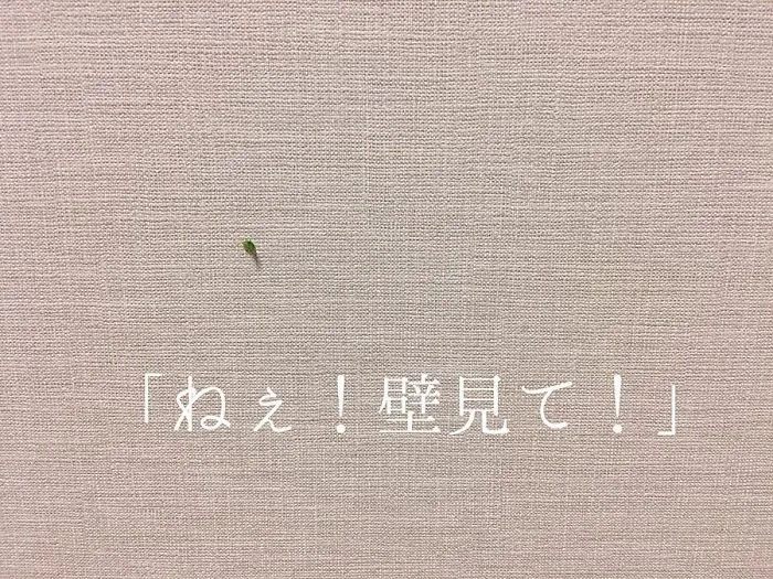 Esta japonesa sube fotos de lo desordenado que es su marido en casa, y aquí tienes las 39 mejores