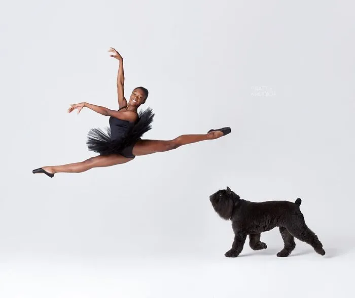 Ballet Dancers And Dogs Pose Together For A Photoshoot And The Result Will Make Your Day (40 Pics)