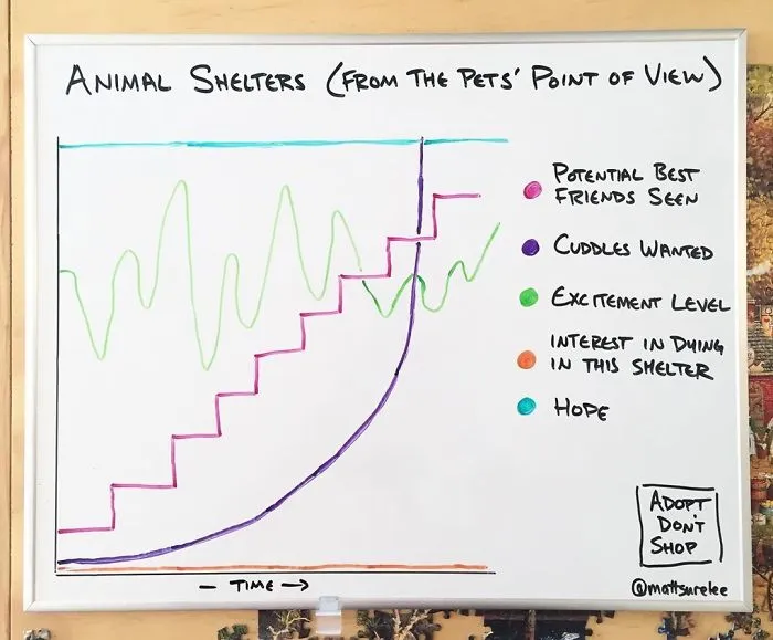 Guy Makes Honest And Funny Charts That Sum Up Our Lives And Here Are 30 Of The Best