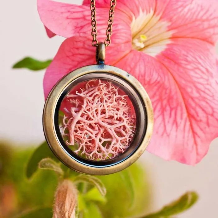 I Create Resin Jewelry With Flowers And Other Pieces Of Nature (50 Pics)