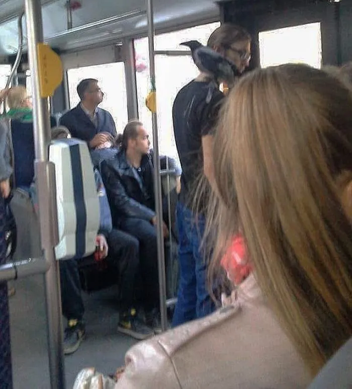 This Instagram Account Collects Funny And Strange Things Spotted On Public Transport (40 Pics)