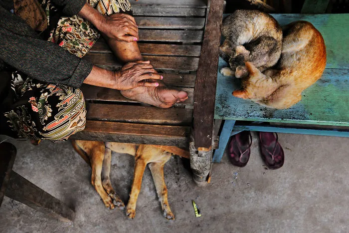 30 Photographs That Explore The Relationship Between Animals And Humans By Steve McCurry