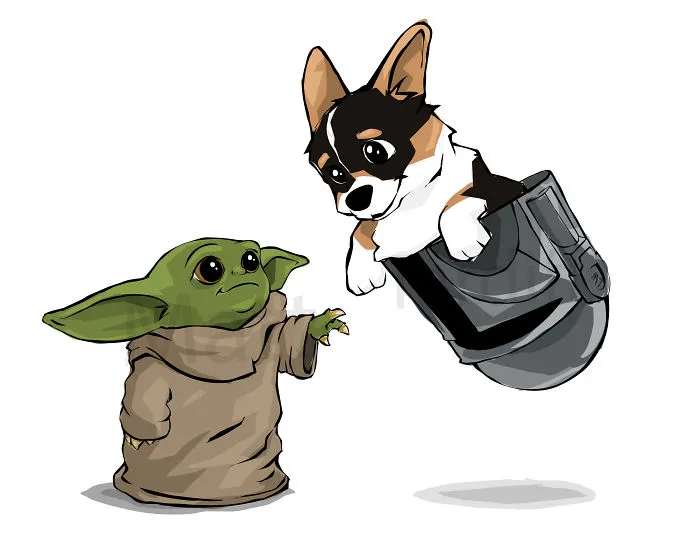 Black Head Tri Corgi