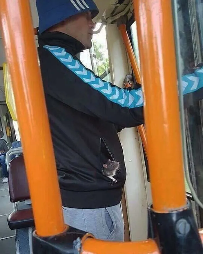 Esta cuenta de Instagram recopila cosas divertidas y curiosas vistas en el transporte público (40 fotos)