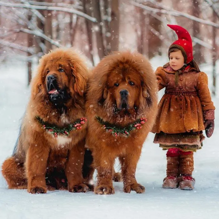 Mirad qué adorables